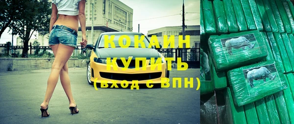 прущие грибы Армянск