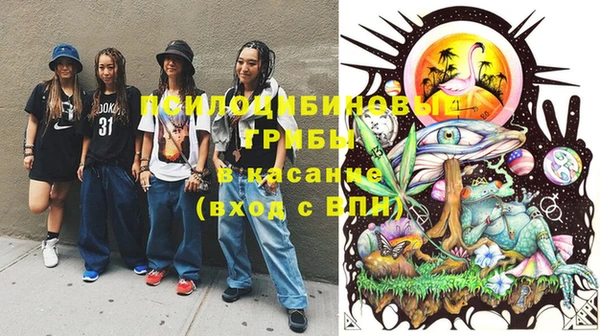 mdpv Арсеньев