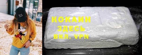 прущие грибы Армянск