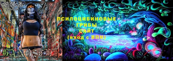 твердый Мегион